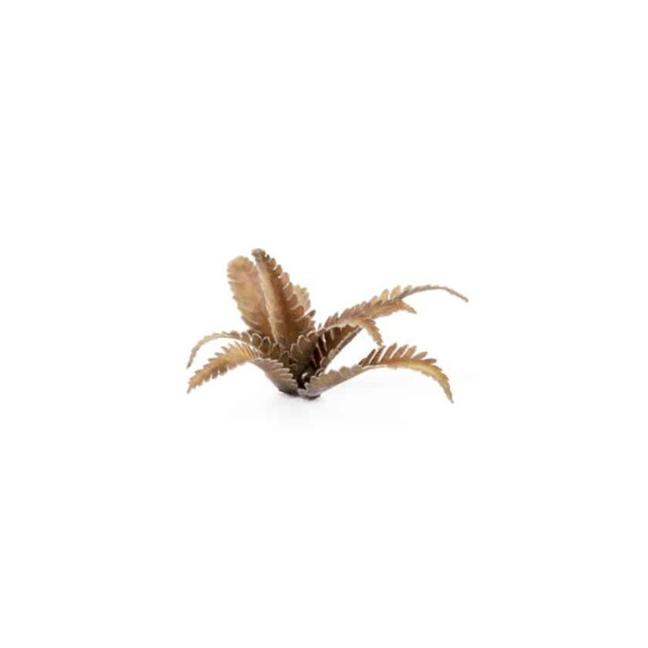 Laser Plants - Deer Fern - PIANTE DI CARTA