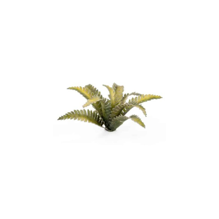 Laser Plants - Deer Fern - PIANTE DI CARTA