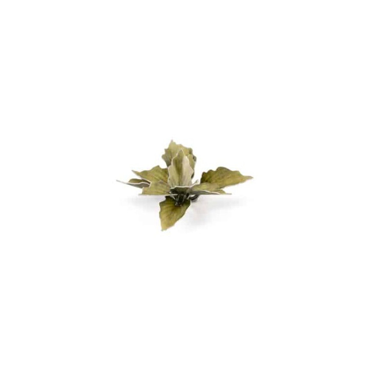 PLANTES PAPIER - Laser Plants - Plantain Lily
