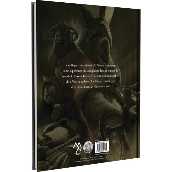 Historia - Des Mages et des Brigands, des Pleutres et des Héros - MEDIEVALE E FANTASY