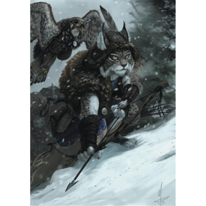 Historia - Des Mages et des Brigands, des Pleutres et des Héros - MEDIEVALE E FANTASY