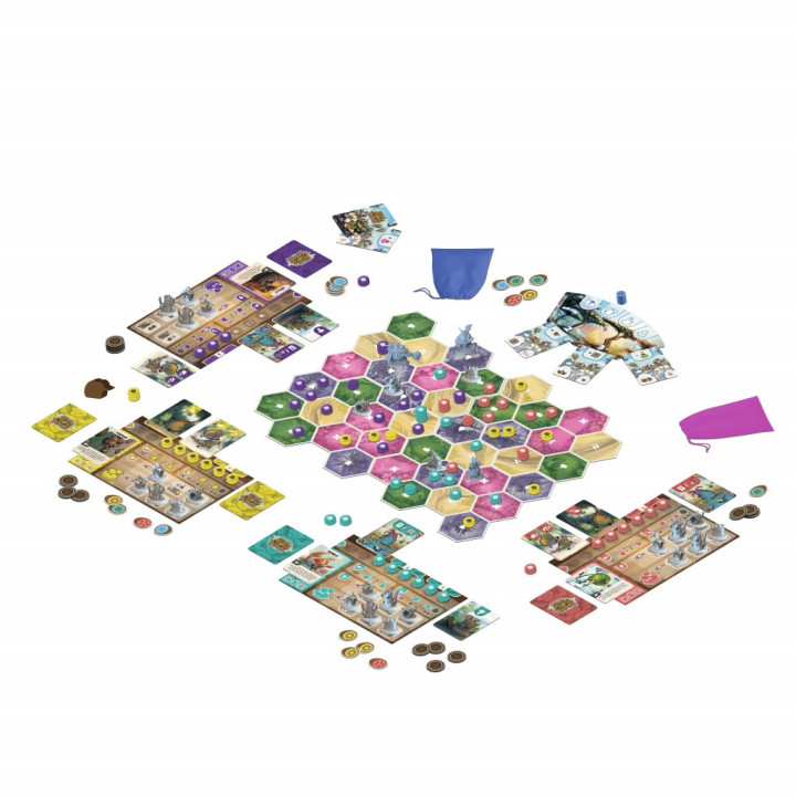 Kiwi Chow Down - EXPERT GAMES
