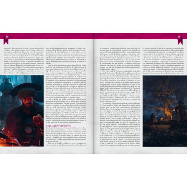 The Witcher - Le Tome du Chaos - MEDIEVALE E FANTASY