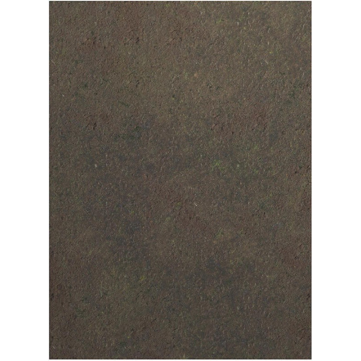 44"x60" Double sided G-Mat: Hell on Earth and Swamp. - ACCESSORI