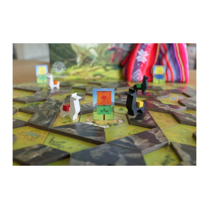 P'achakuna - GIOCHI DA TAVOLO