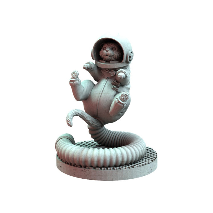 Nemesis - Spacecats - EXPERT GAMES