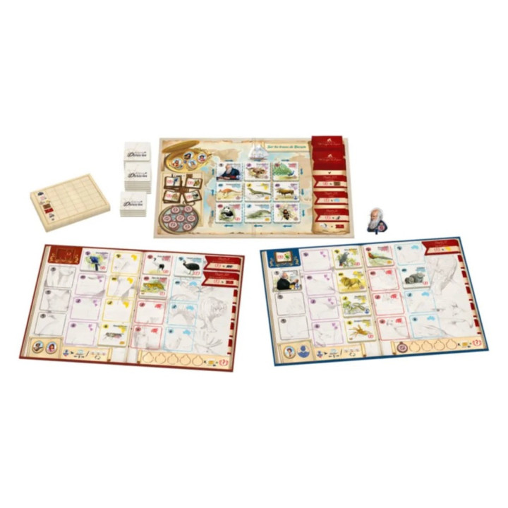 Sur les Traces de Darwin - FAMILIENSPIELE