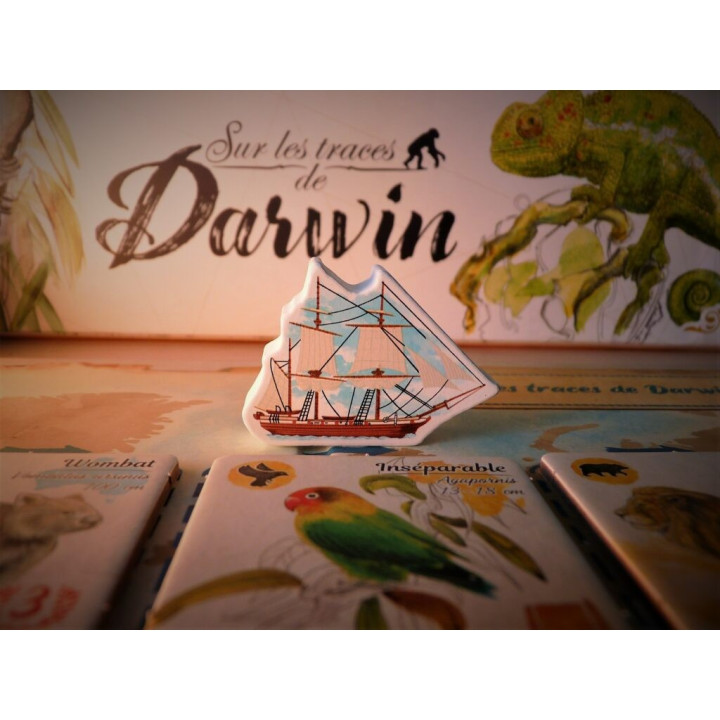 Sur les Traces de Darwin - FAMILIENSPIELE