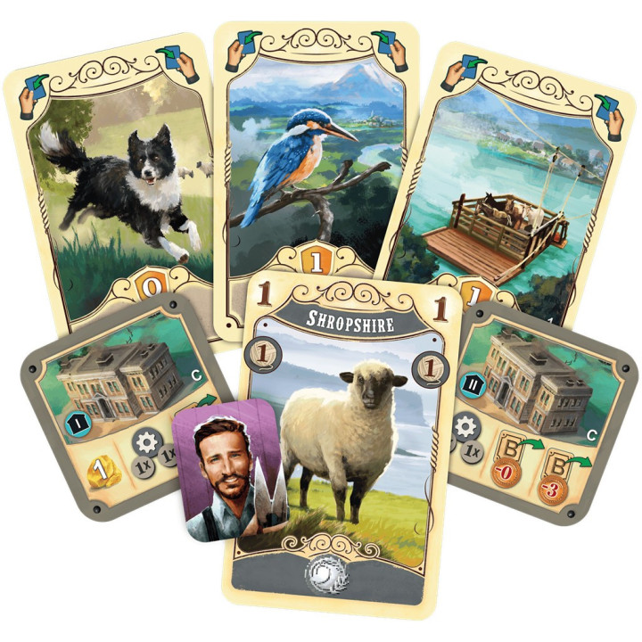 Great Western Trail - Nouvelle-Zélande - EXPERT GAMES