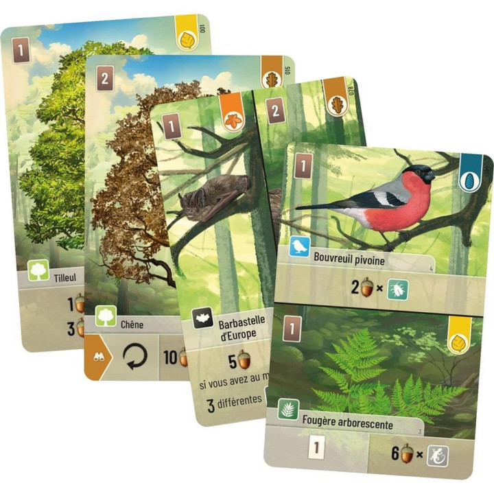 Forêt Mixte - GIOCHI ESPERTI