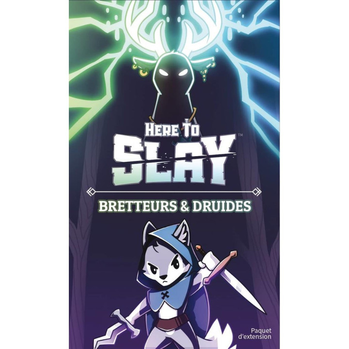 JEUX D'AMBIANCE - Here to Slay - Bretteurs et Druides
