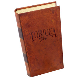 Tortuga 1667 - BOARD GAMES