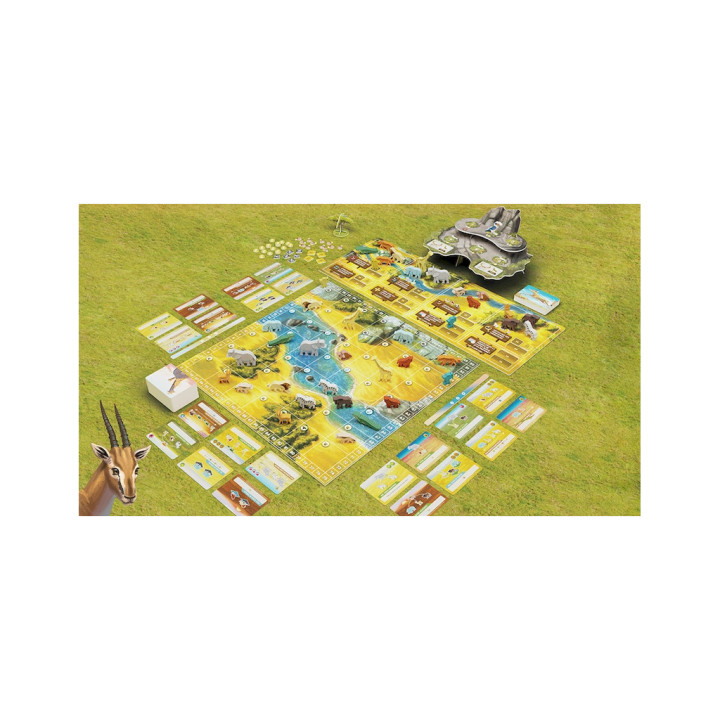 JEUX EXPERTS - Wild : Serengeti