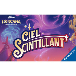 JEUX DE CARTE - Tournoi Lorcana - construit - challenge
