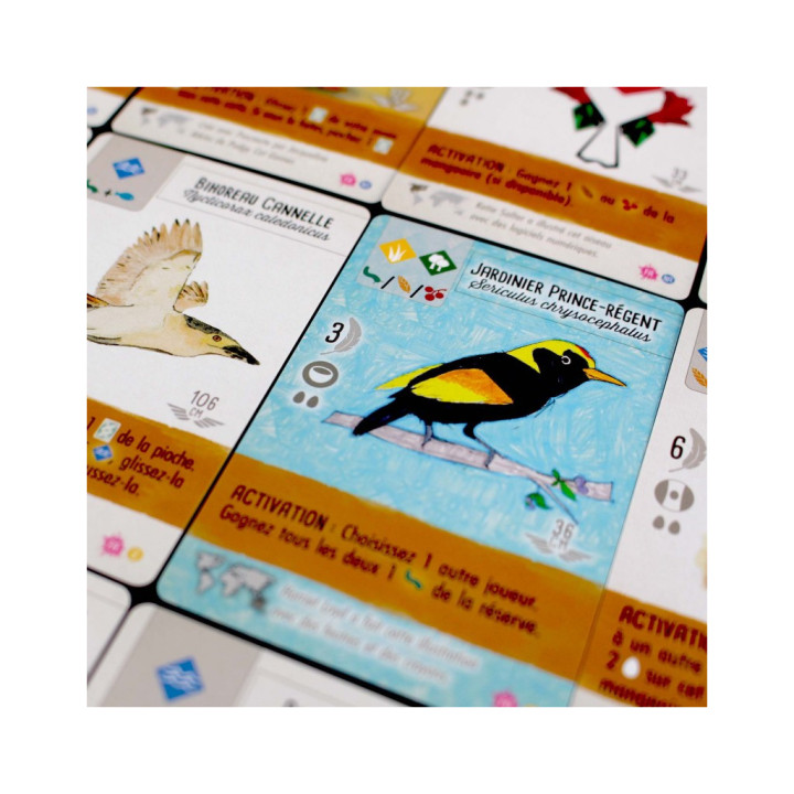 JEUX DE SOCIÉTÉ - Wingspan - Fan Art Pack