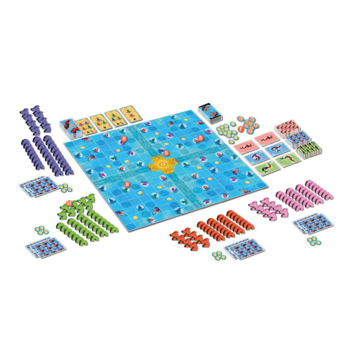Dragons des Mers - BOARD GAMES