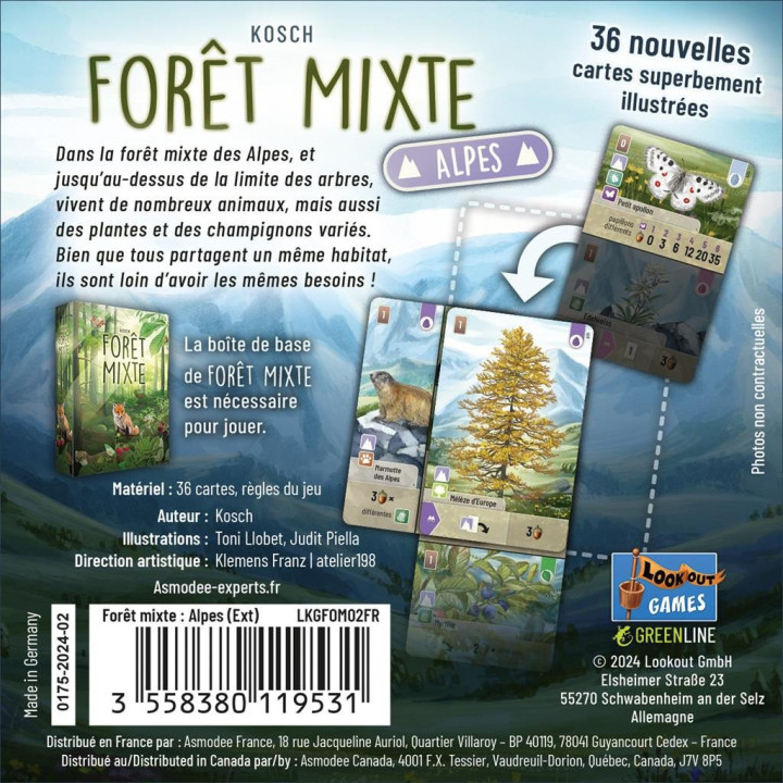 Forêt Mixte - Alpes - GIOCHI ESPERTI