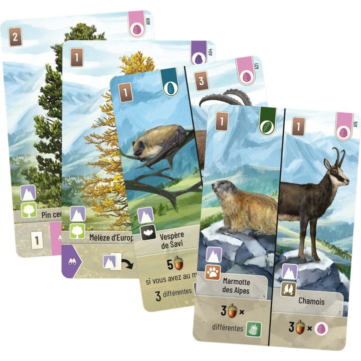 Forêt Mixte - Alpes - GIOCHI ESPERTI