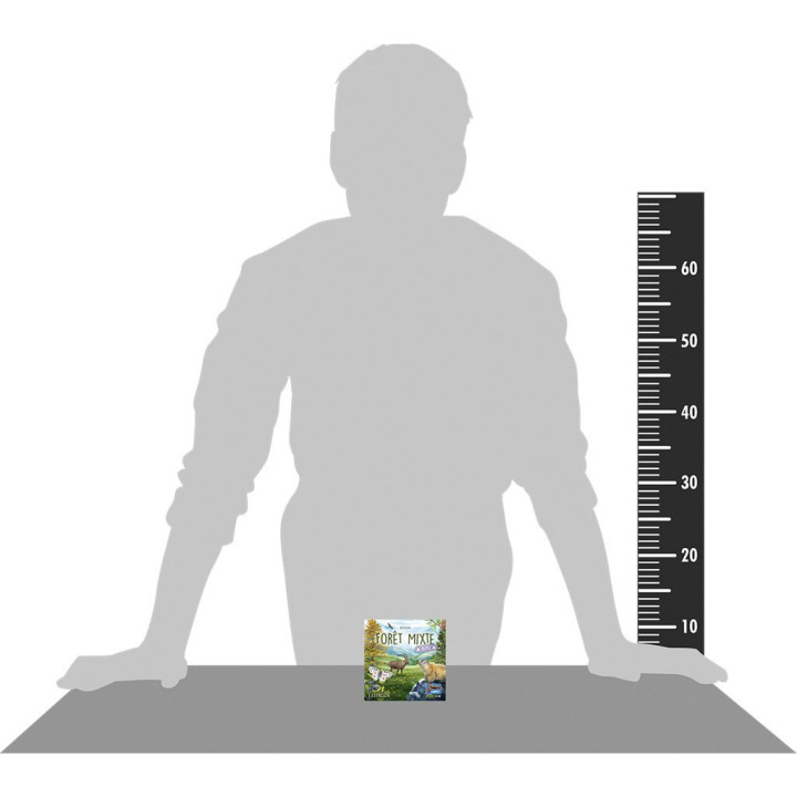 Forêt Mixte - Alpes - GIOCHI ESPERTI