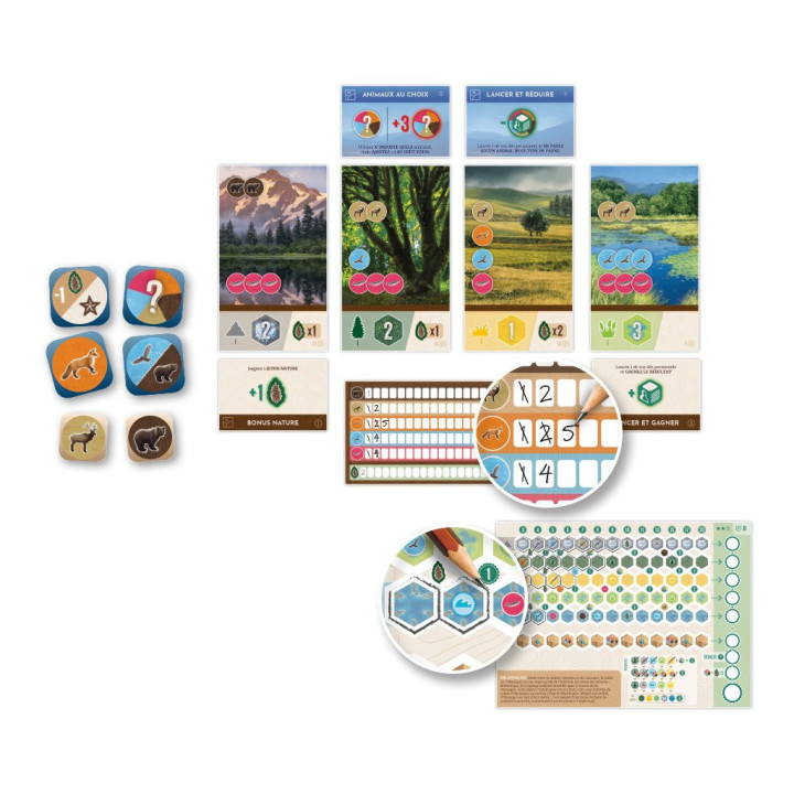 Cascadia Rolling: Prairies - FAMILY GAMES