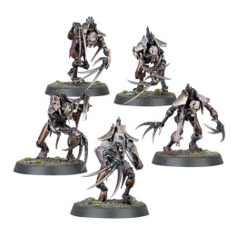 Scorticati - FIGURE