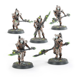 Lychgarde - XENOS-ARMEEN