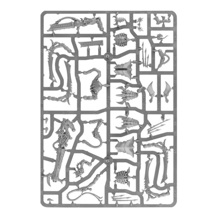 Tyranidenkrieger - FIGURINEN