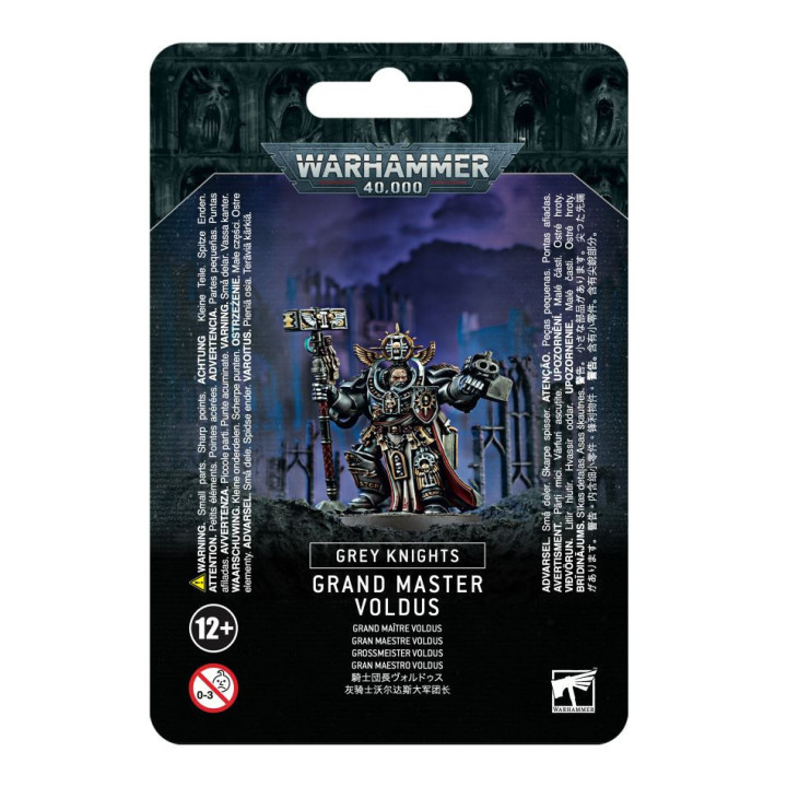 FIGURINES - Grand Master Voldus