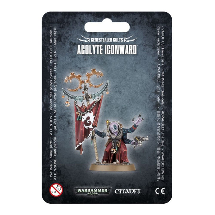 FIGURINES - Acolyte Iconward