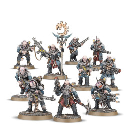 Neophyte Hybrids - FIGURE