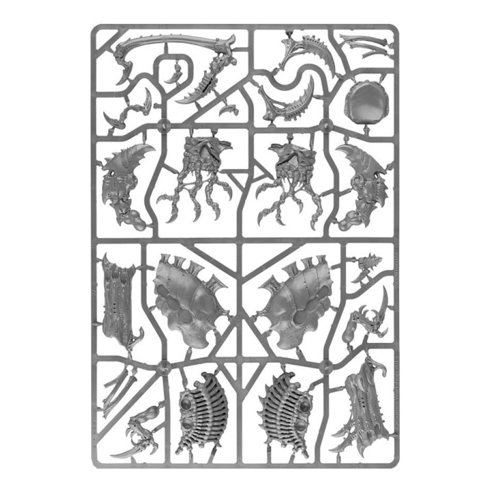 Aruspice - ARMATA XENOS