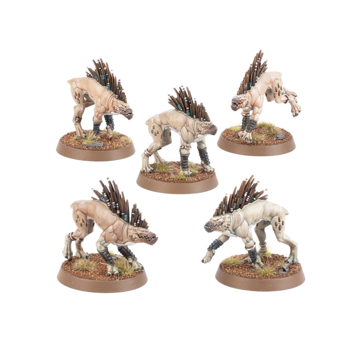 Kroot Segugi - FIGURE