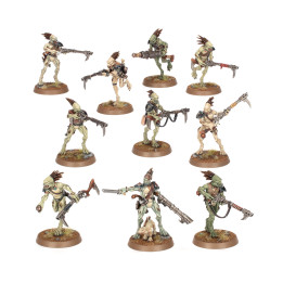 Kroot-Jäger - FIGURINEN