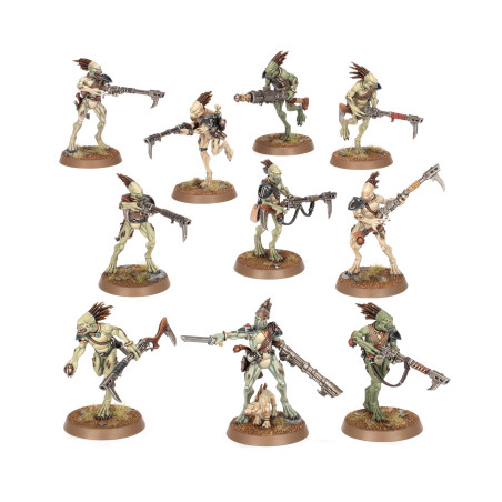 Carnivores Kroots