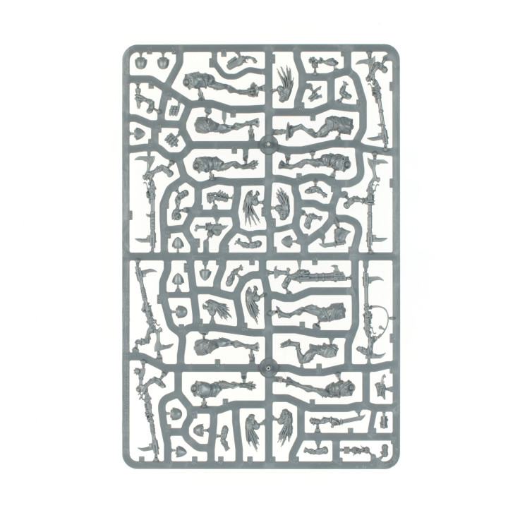 Kroot-Jäger - FIGURINEN