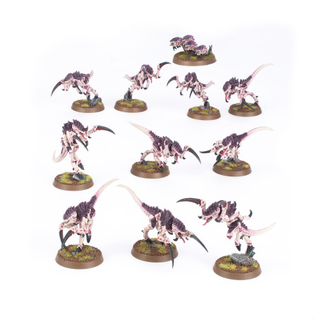 Hormagaunt