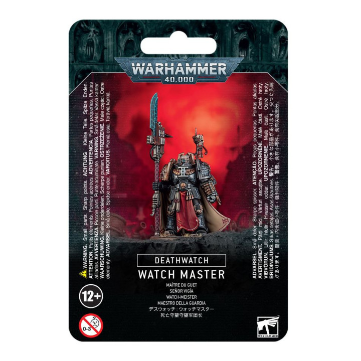 Maestro della Guardia - FIGURE