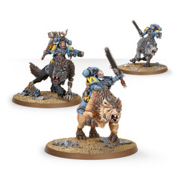 FIGURINES - Thunderwolf Cavalry
