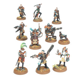 Rogue Trader Entourage and Voidsmen-at-Arms - ARMIES OF THE IMPERIUM