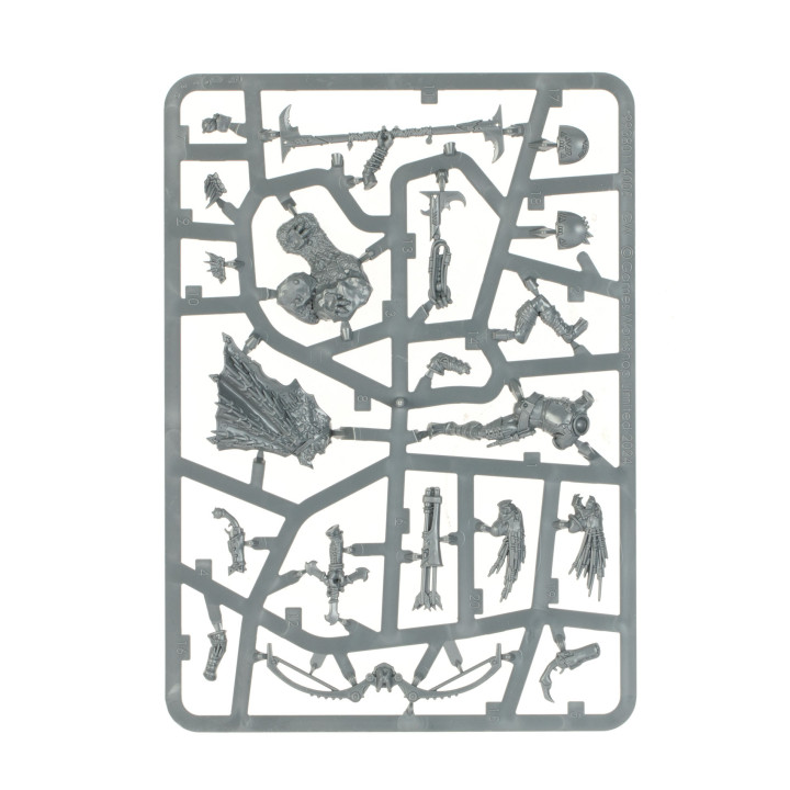 Kroot-Kriegsformer - FIGURINEN
