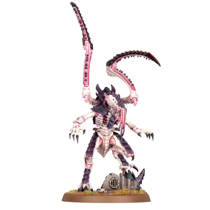 Littore - FIGURE