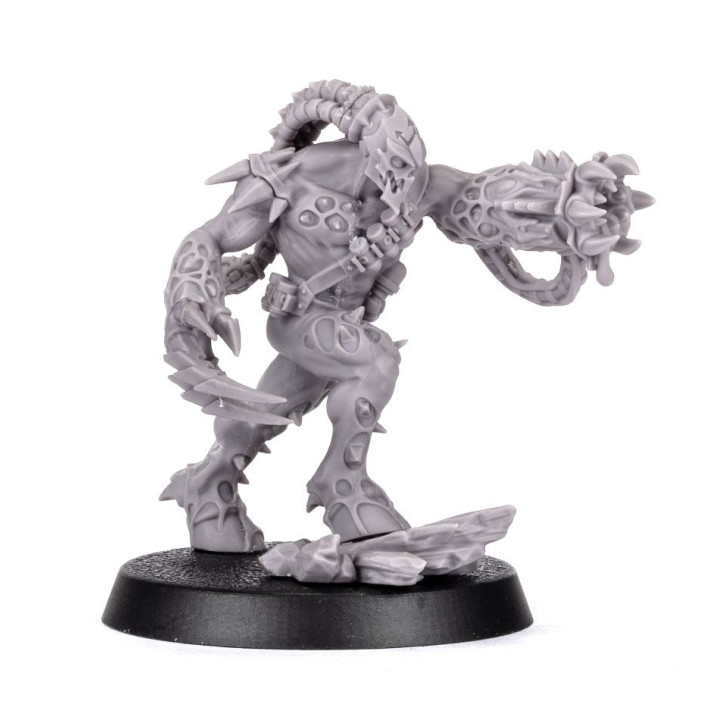 ARMIES OF THE WARMASTER - Infernus Abomination