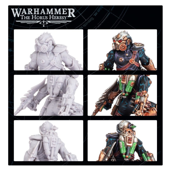 Clade Venenum Assassin - FORCE ORGANISATION