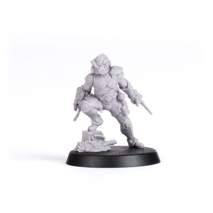 Clade Venenum Assassin - FORCE ORGANISATION