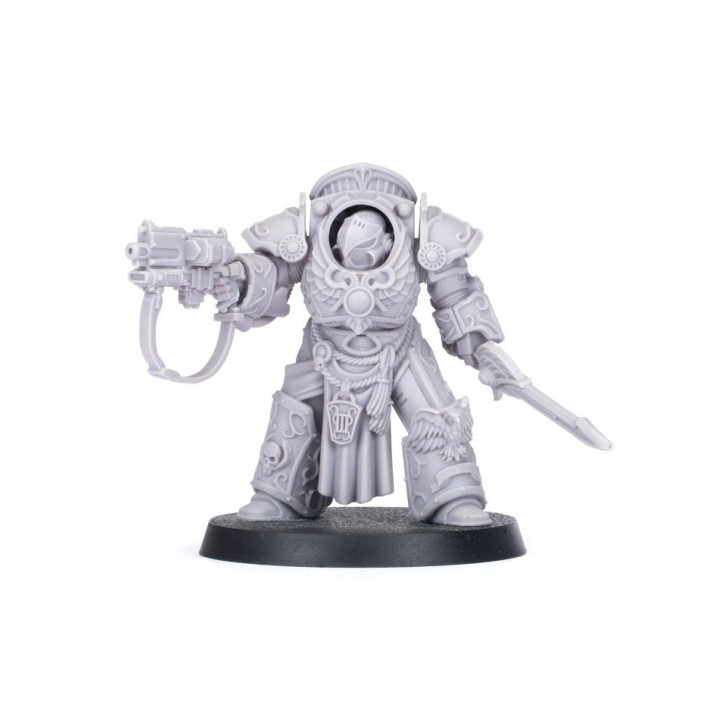 FORCE ORGANISATION - Emperor's Children – Legion Tartaros Praetor