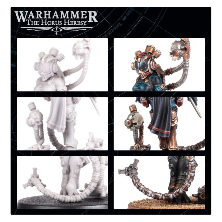 Clade Vanus Infocyte Assassin - FORCE ORGANISATION