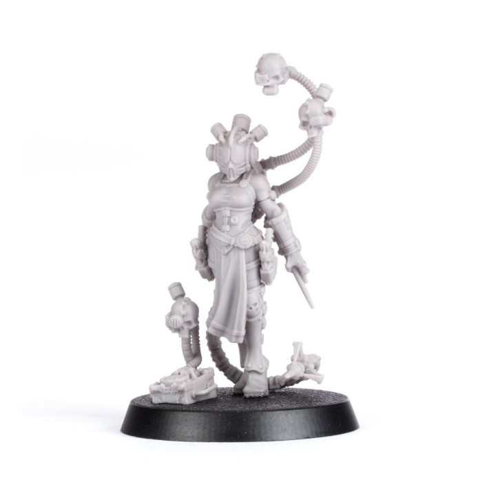 Clade Vanus Infocyte Assassin - FORCE ORGANISATION