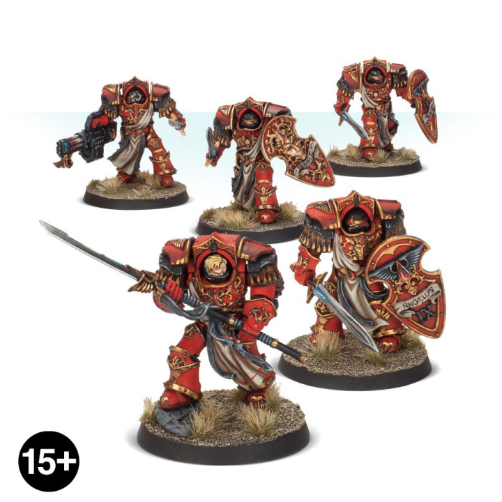 Blood Angels - Crimson Paladins - FORCE ORGANISATION