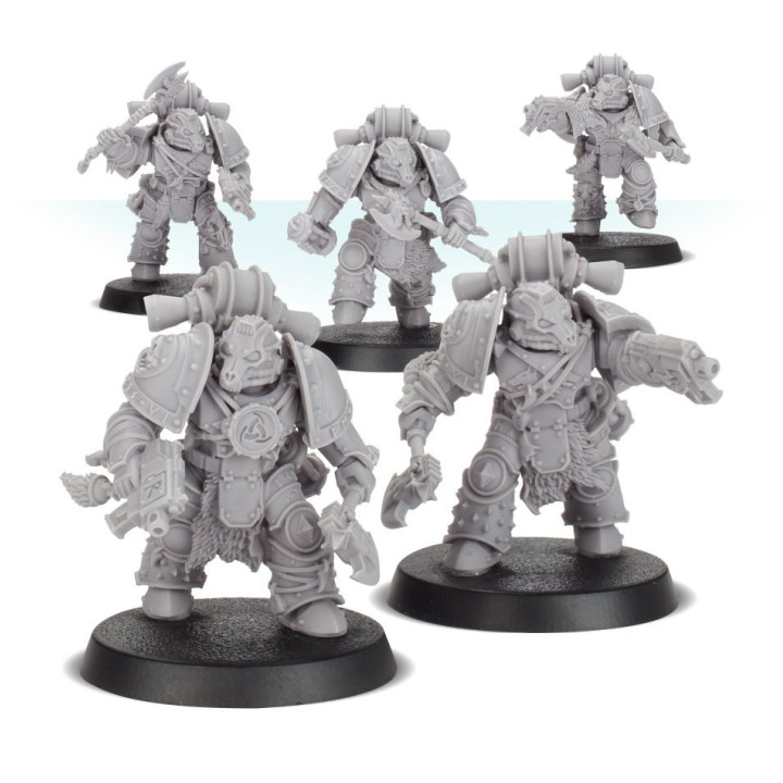 Space Wolves - Deathsworn Pack - FORCE ORGANISATION