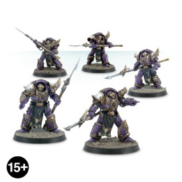 FORCE ORGANISATION - Emperor's Children Phoenix Terminators